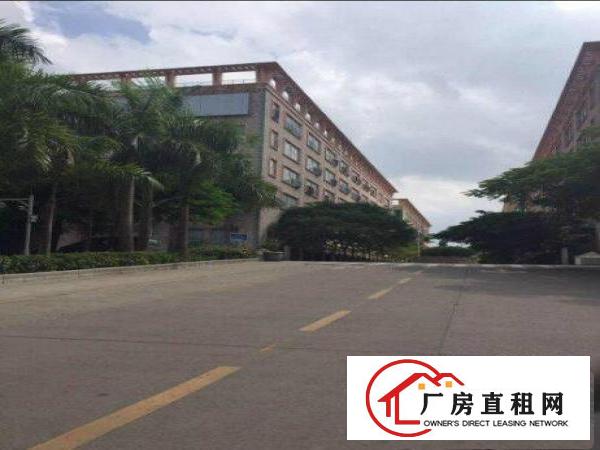 
		出租！坑梓花园式厂房莹展科技园A2栋.一二楼共5500平招租
	
