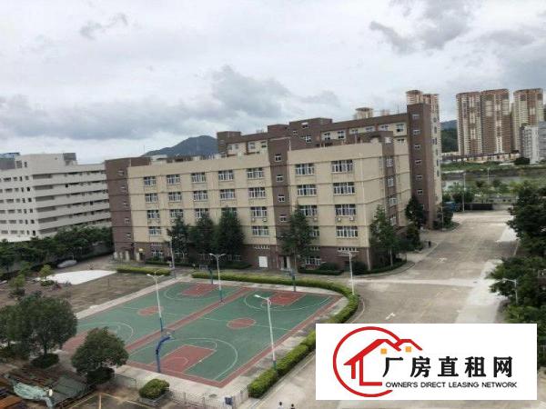 
		宝龙工业园新出原房东一楼厂房2400平方6米高带喷淋出租
	