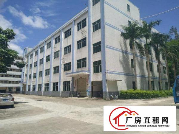 
		龙岗嶂背原房东独院厂房出租2500平每层可分租
	