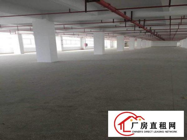 
		龙岗嶂背原房东独院厂房出租2500平每层可分租
	