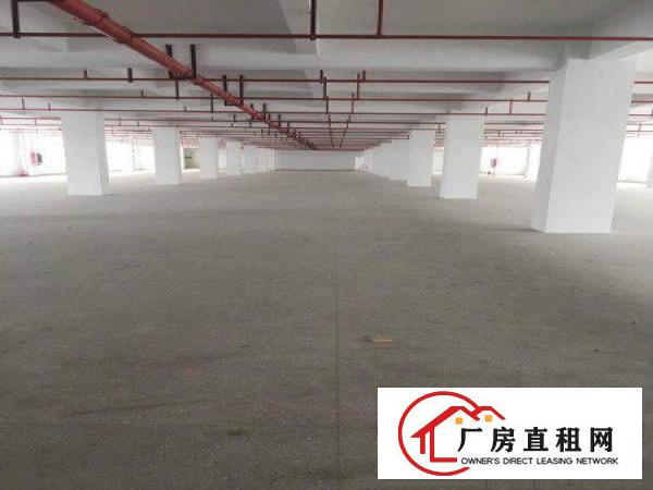 
		龙岗嶂背原房东独院厂房出租2500平每层可分租
	
