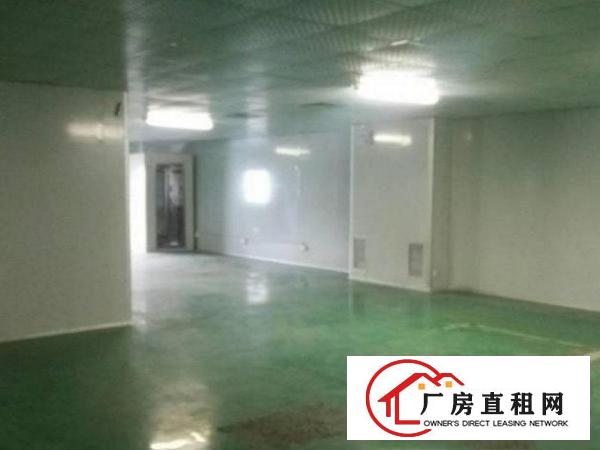 
		龙岗区华乐路新出楼上精装修600平方无尘车间招租
	