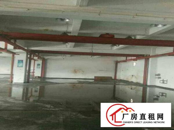 
		龙岗区沙荷路新出一楼500平，带行车厂房出租
	