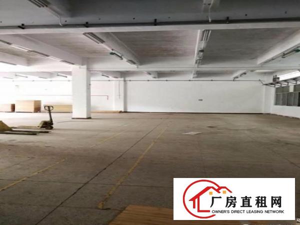
		物业直租大康楼上600平厂房出租，带装修
	