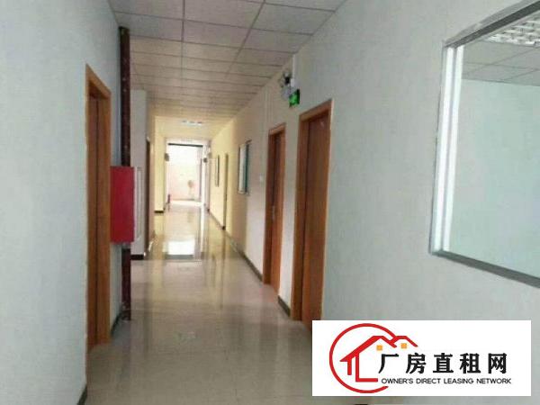 
		物业直租大康楼上600平厂房出租，带装修
	