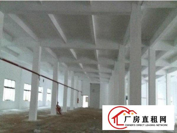 
		出租龙岗区水官高速一楼800平方层高6米，可接受任何行业
	