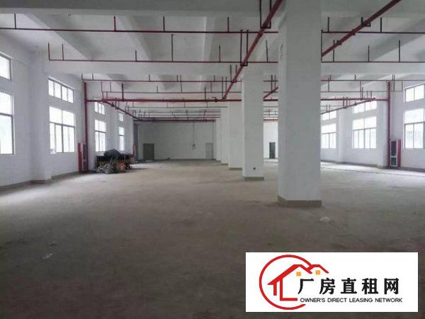 
		出租龙岗区228工业园一楼标准厂房出租1000平米带行车
	