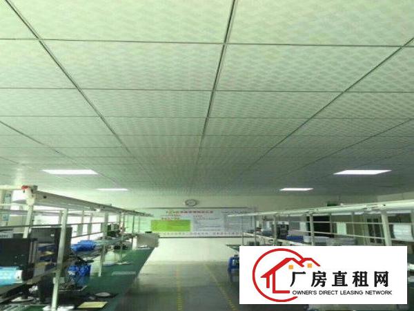 
		龙岗区嘉华路新出二楼650平，带精装修厂房出租
	