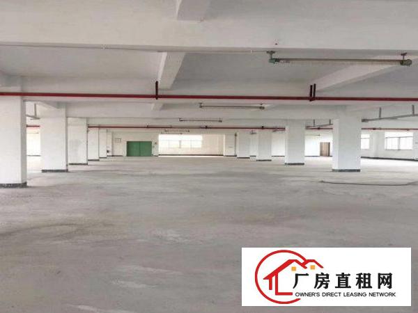 
		横岗红本独门独院厂房9000平出租，可大小分租
	