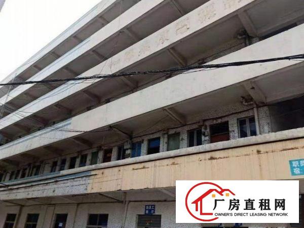 
		横岗经典独门独院厂房6850平招租可分租
	