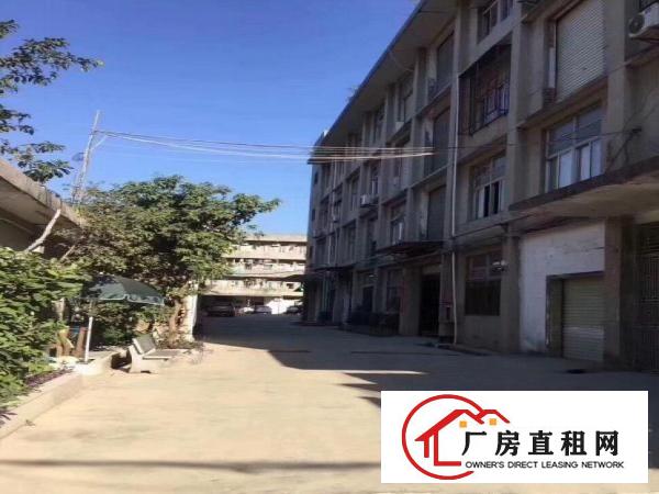 
		横岗六约房东厂房直租1200平米可分租
	