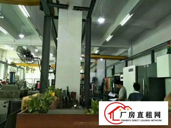 
		龙岗区横岗一楼1300平厂房出租，高6米，现成行车
	