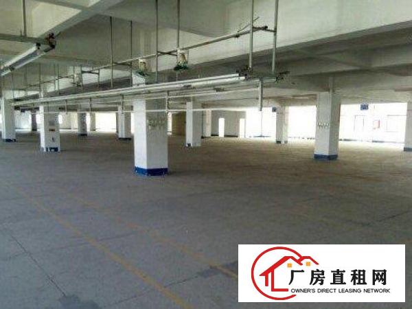 
		出租龙岗区横岗一楼2000平带装修厂房
	