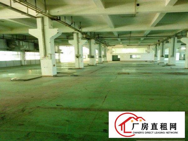 
		出租龙岗区横岗标准整层厂房一楼1380平方
	