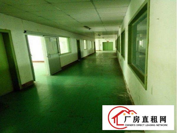 
		出租龙岗区横岗标准整层厂房一楼1380平方
	