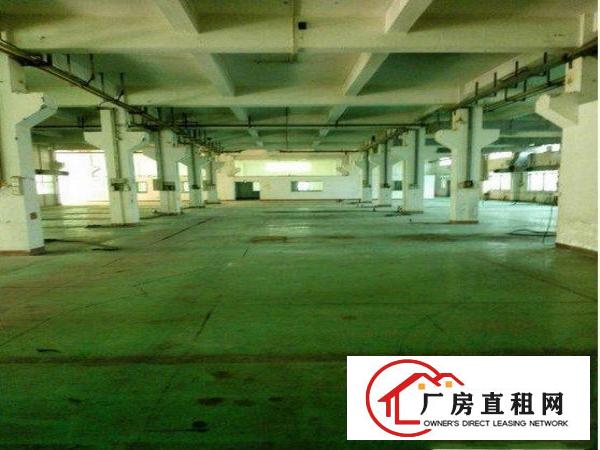 
		出租龙岗区横岗标准整层厂房一楼1380平方
	