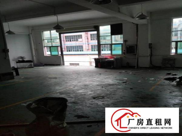 
		出租龙岗区茂兴路楼上240平精装修厂房
	