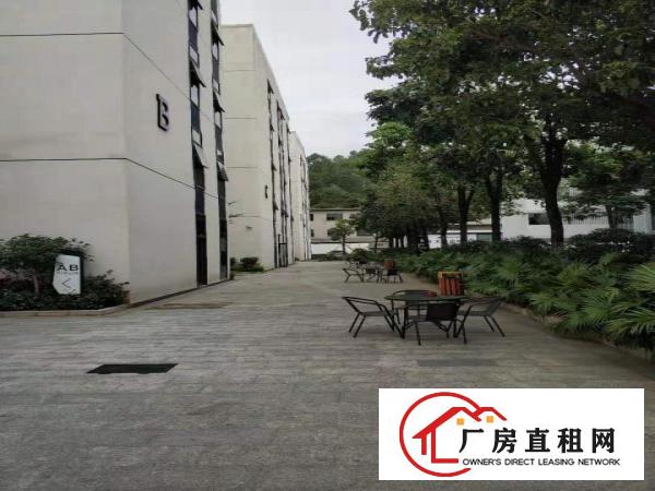 
		横岗地铁口电商园办公室仓库88-2100大小组合
	