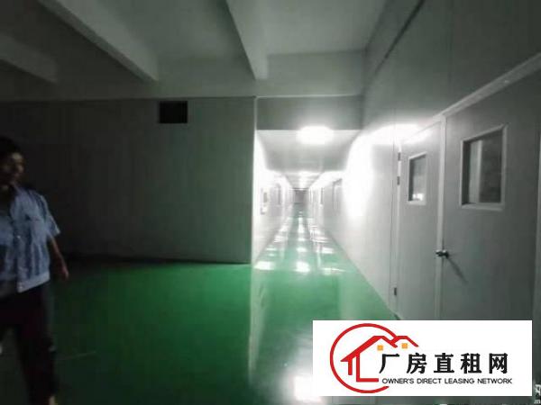 
		龙岗西坑二楼无尘车间1380平现成无尘车间，实际面积出租
	