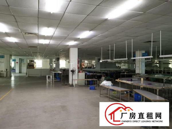 
		出租龙岗区茂兴路楼下仓库厂房800平方，进出车方便
	