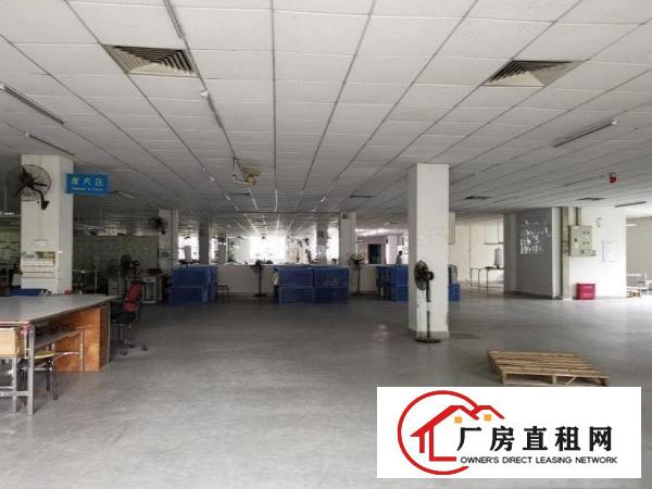 
		出租龙岗区茂兴路楼下仓库厂房800平方，进出车方便
	