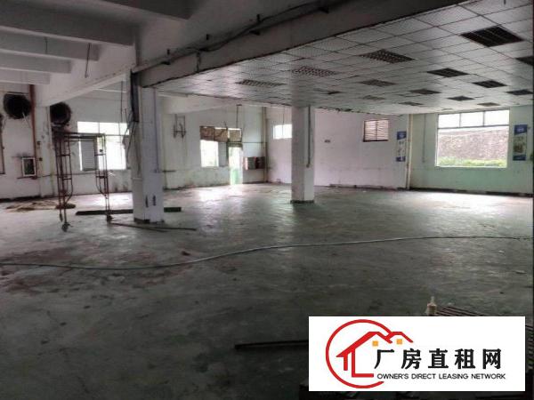 
		龙岗区嘉华路新空出一楼600平方带装修办公室厂房出租仓库
	