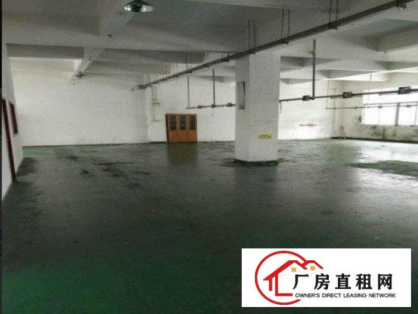 
		龙岗区横岗楼上250平带装修厂房出租独立办公室全新地坪漆
	