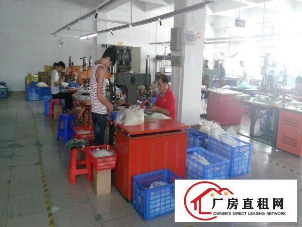 
		出租龙岗区横岗坳一村阿宝工业园B栋厂房
	