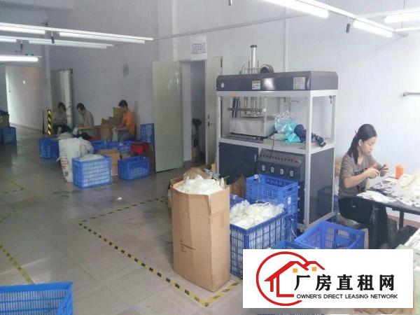 
		出租龙岗区横岗坳一村阿宝工业园B栋厂房
	