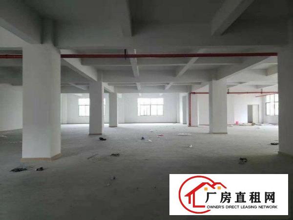 
		出租龙岗区横岗二楼1100平方标准厂房
	