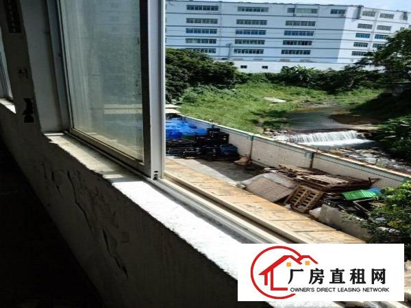 
		横岗西坑村允固街5号厂房120平米靠山靠水中介勿扰
	