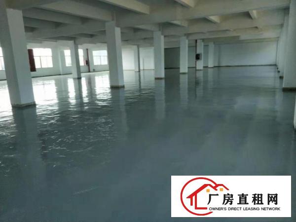 
		横岗临时仓医药仓食品仓7000平招租可分租
	