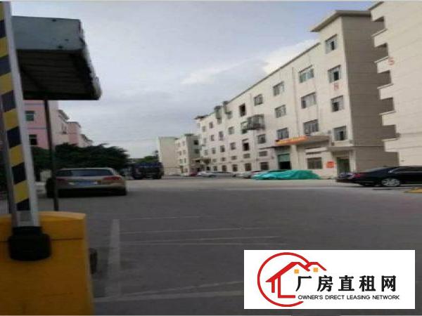 
		出租龙岗区188工业园原房东二楼1000平方，豪华装修
	