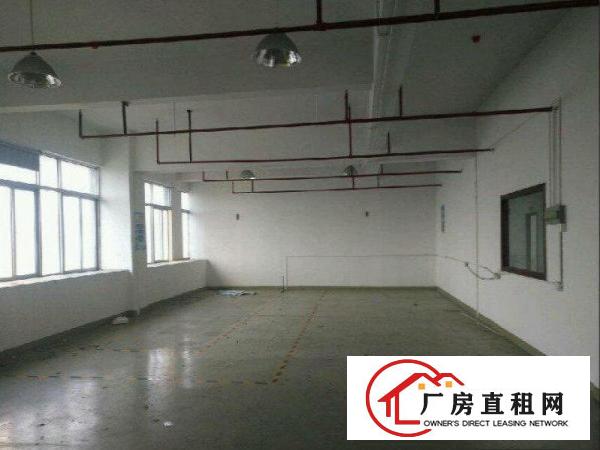 
		出租龙岗区横岗800平米带装修厂房无需转让费，带办公室前台
	
