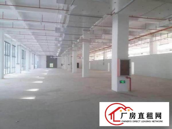 
		横岗沙荷路标准厂房二楼300平出租可做仓库，电子，空地大
	