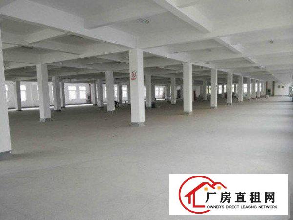 
		龙岗区茂兴路一楼标准厂房1200平方低价出租
	