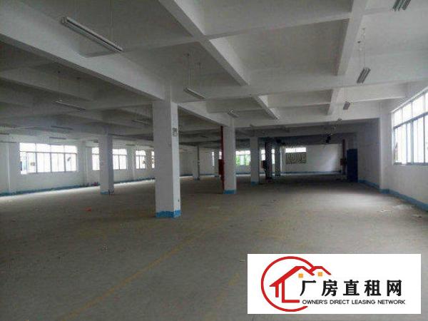 
		龙岗区茂兴路一楼标准厂房1200平方低价出租
	