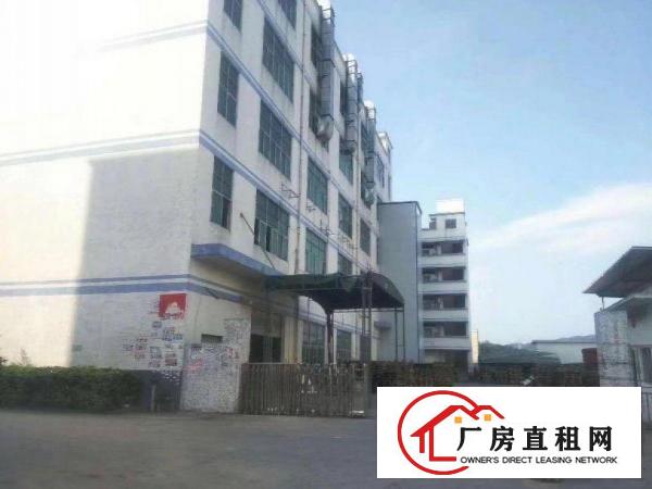 
		出租龙岗区横岗松柏原房东厂房无公摊1380平米
	