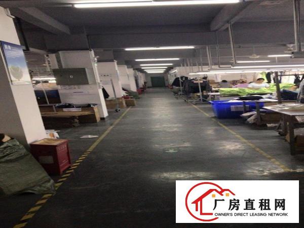 
		龙岗区横岗六约金泉4路一号厂房二楼
	