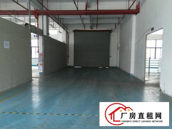 
		龙岗区华乐路工业区标准一楼厂房1300平方出租
	