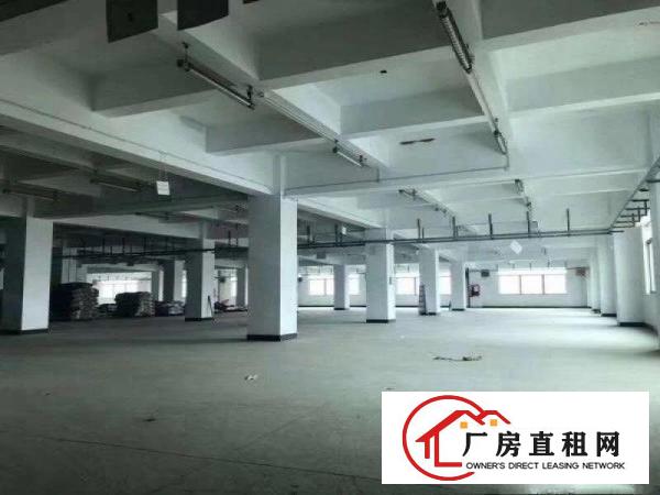
		真正地铁口！横岗塘坑新出独栋5500平厂房出租
	