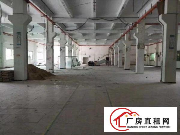 
		横岗六约原业主一楼3900平层高6.2米厂房仓库出租
	