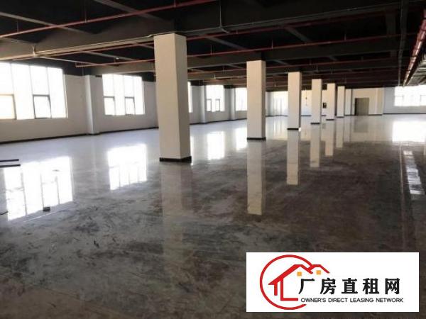 
		龙岗区高新产业园山街道独院200平起租厂房仓库出租
	