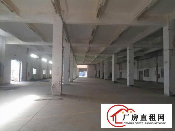 
		大康原房东一楼2800平方厂房出租
	