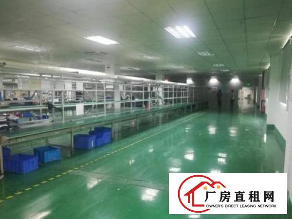 
		龙岗新生实业客分租1200平带装修厂房租
	