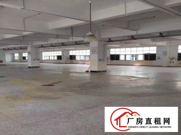 
		横岗新出一手房东独门独院5000平米，
	