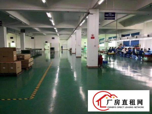 
		横岗安良全新工业园高新厂房80000平招租可分租
	