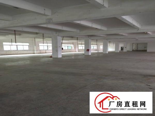 
		横岗水官高速出口200平500平1000平米带喷淋厂房出租
	