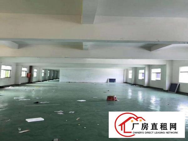 
		横岗安良沙荷路新出独院厂房
	