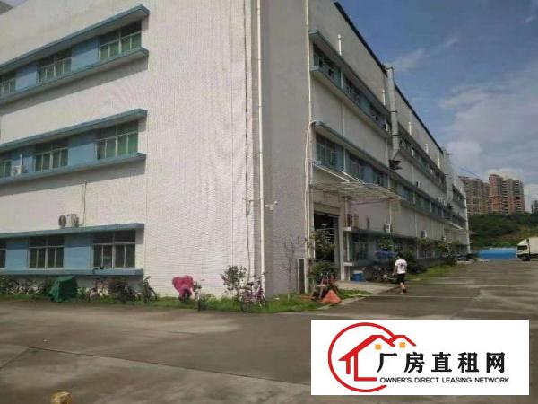 
		靓房9000平横岗独栋厂房三层可分租价格18整租
	